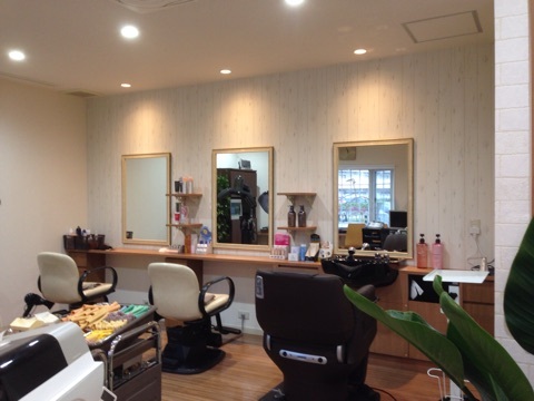 ����ȥ꡼���Υ���������