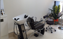 ����Խ�ë�衿OLYMPOS for hair��